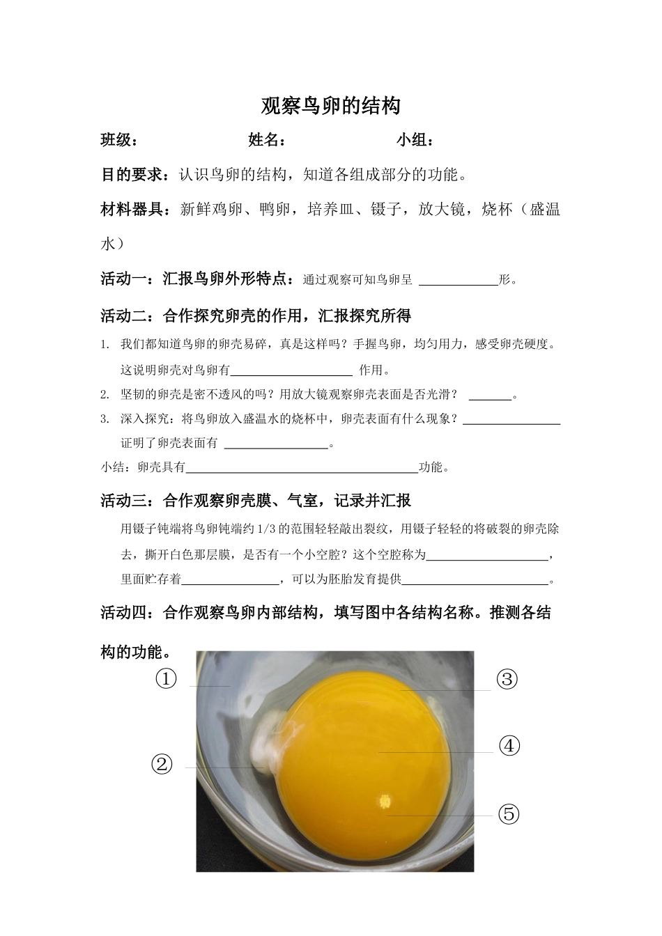 第三节鸟的生殖和发育_第1页