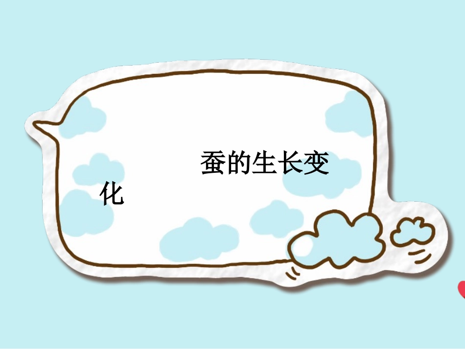 蚕的生长变化_第1页