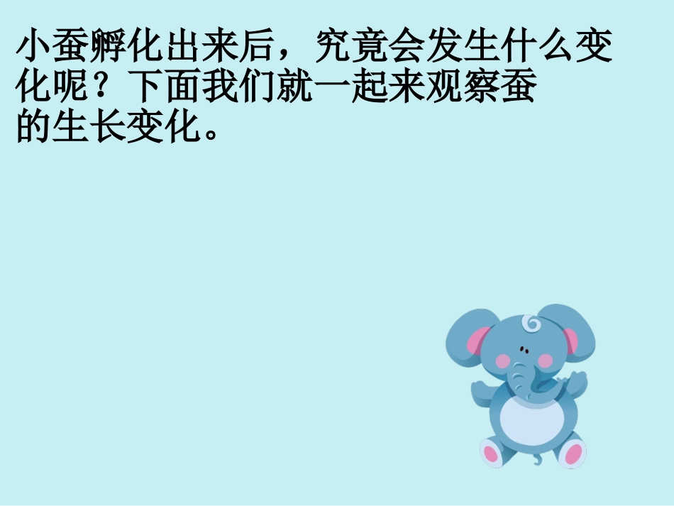 蚕的生长变化_第2页