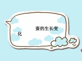 蚕的生长变化