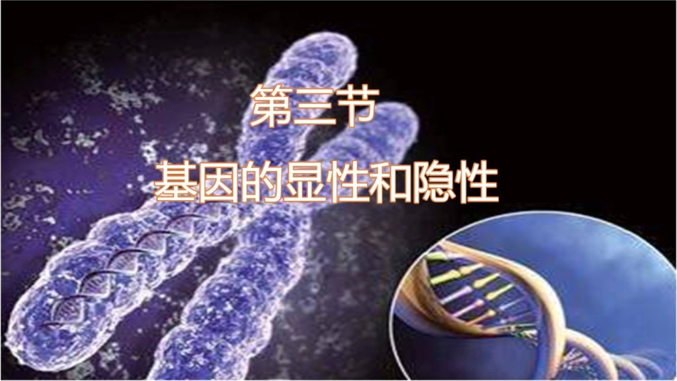 第三节基因的显性和隐性_第3页