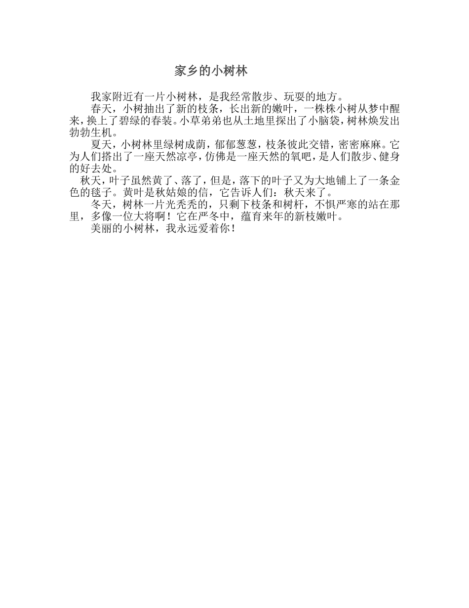 家乡的小树林_第1页