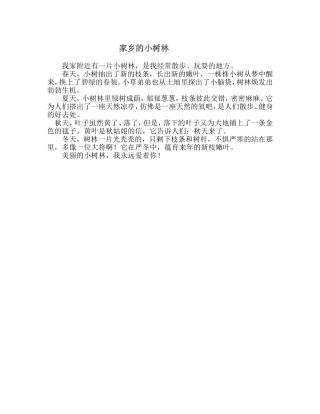 家乡的小树林