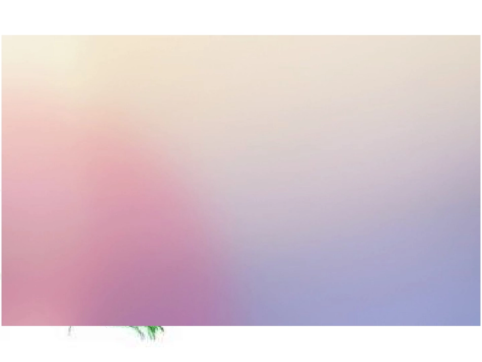 语文园地四：我爱阅读_第2页