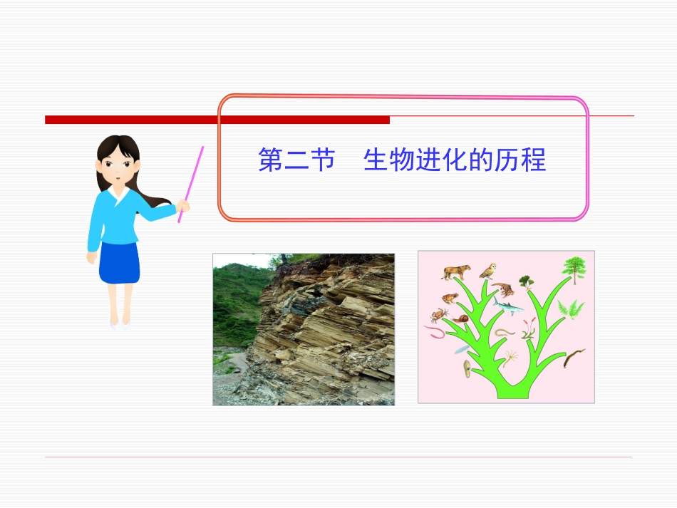 第2节生物进化的历程_第1页