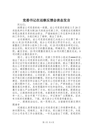 党委书记在巡察反馈会表态发言