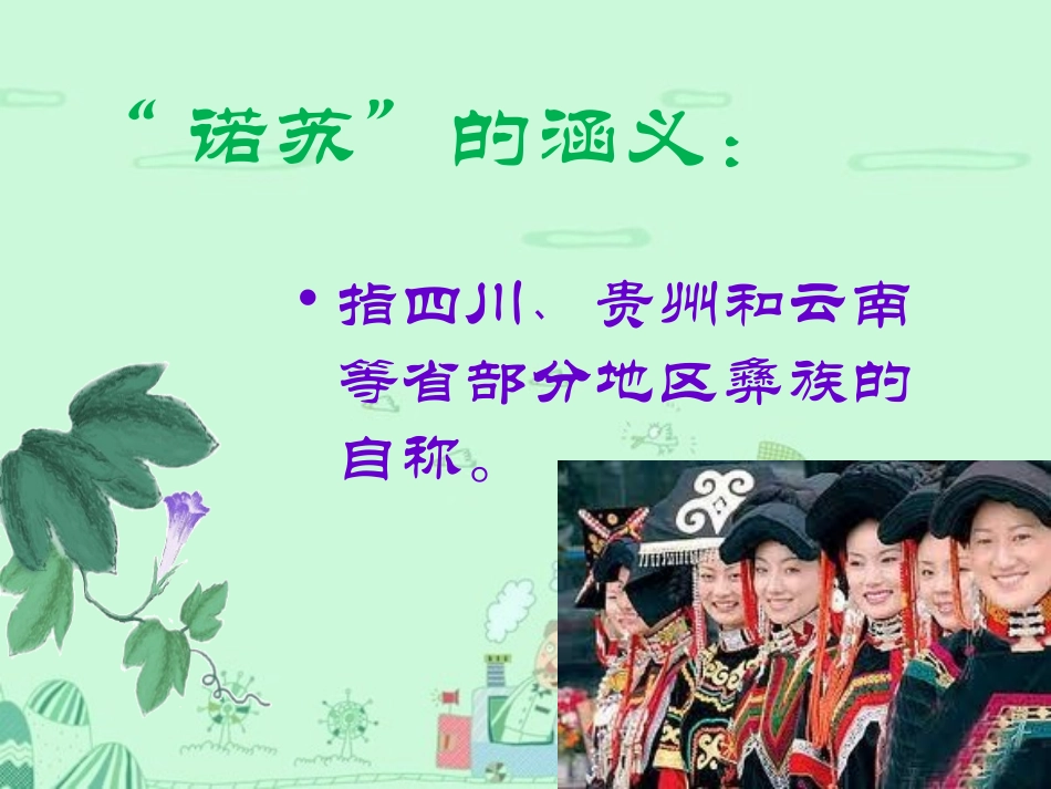 《快乐的诺苏》课件1_第3页