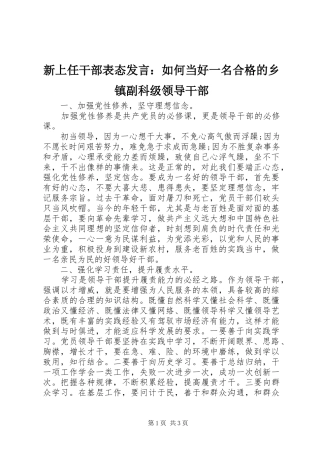 新上任干部表态发言：如何当好一名合格的乡镇副科级领导干部