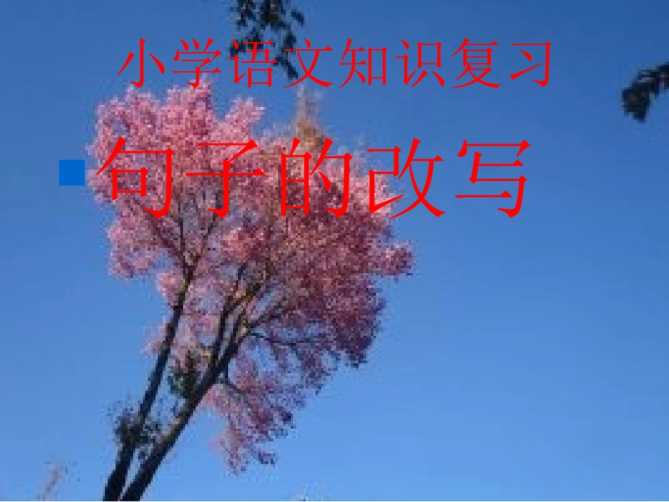 小学六年级语文句子部分_第1页