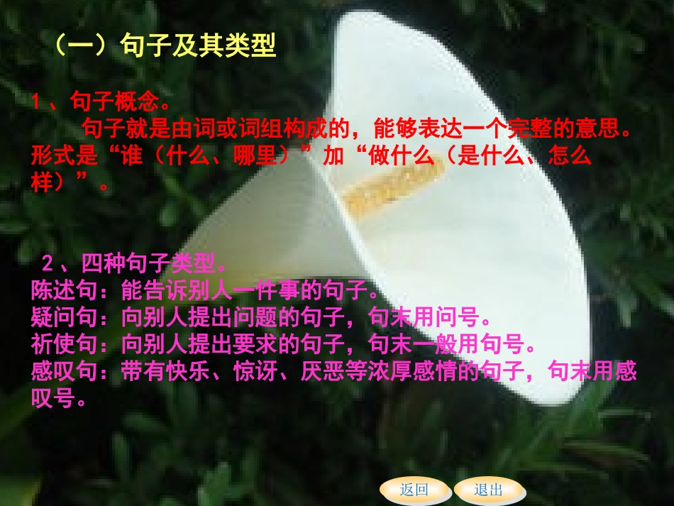 小学六年级语文句子部分_第2页