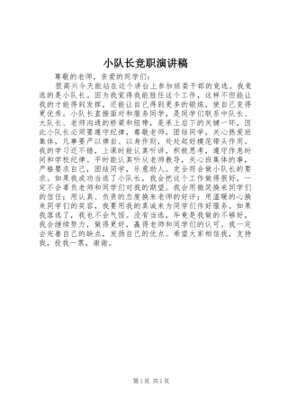 小队长竞职演讲稿