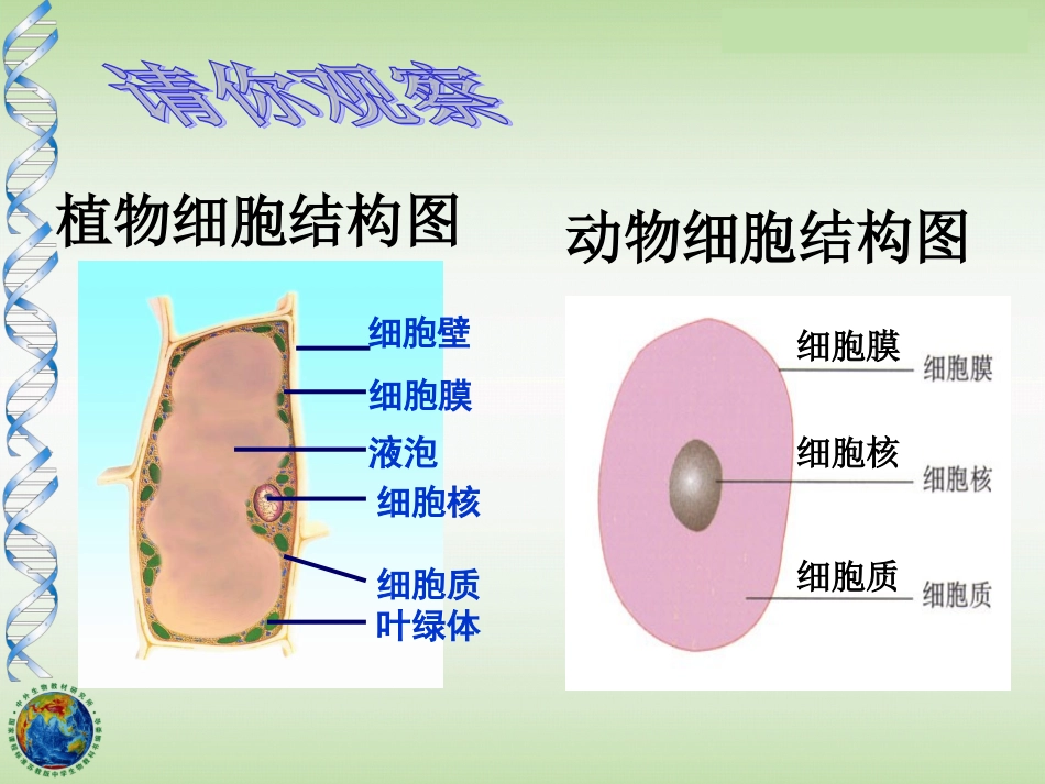 第三节神奇的微生物-(2)_第2页