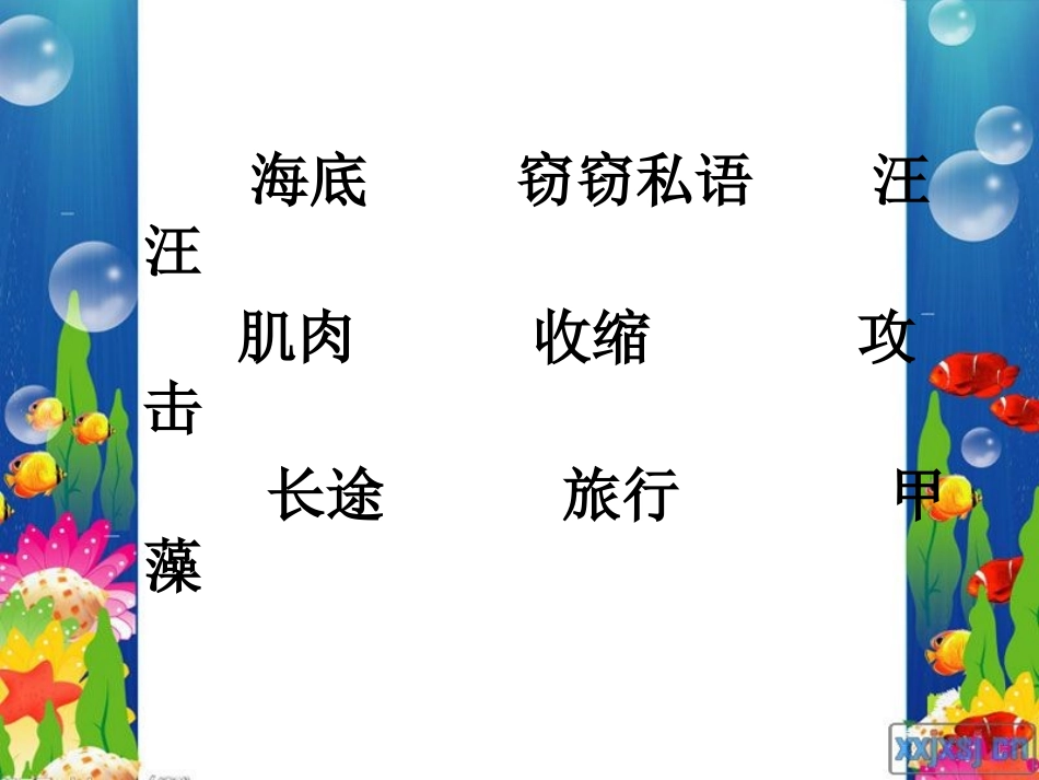 海底世界课件做好的1_第2页