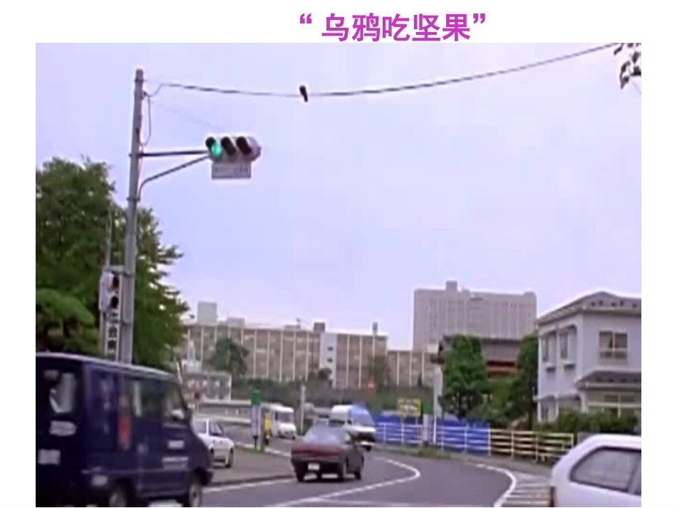 第1节先天性行为和后天学习行为-(2)_第1页