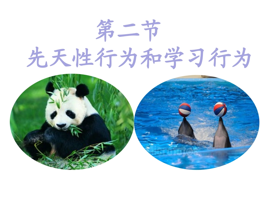 第1节先天性行为和后天学习行为-(2)_第3页