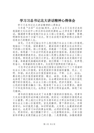 学习习总书记北大讲话精神心得体会