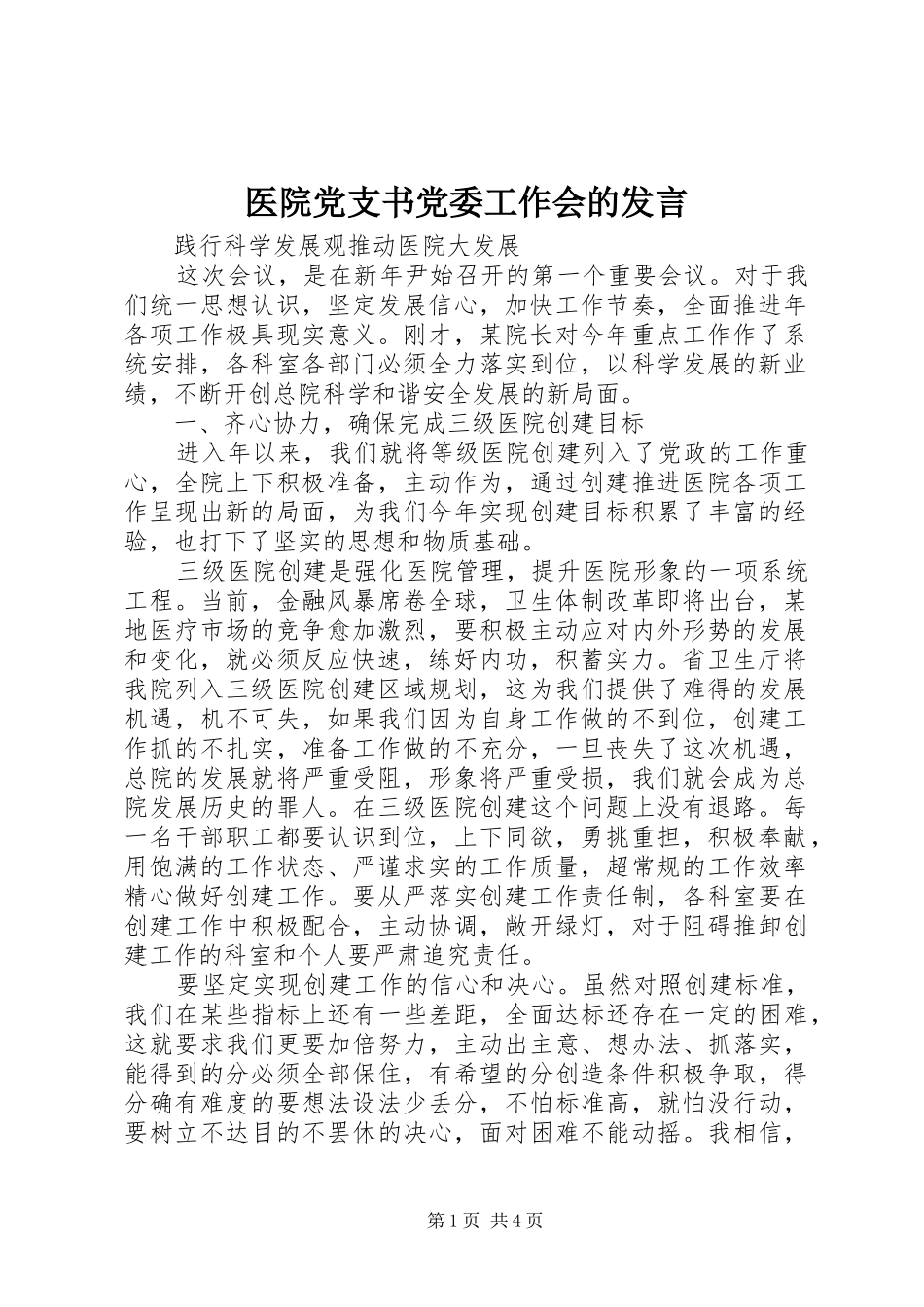 医院党支书党委工作会的发言_第1页