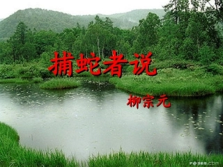 十九捕蛇者说