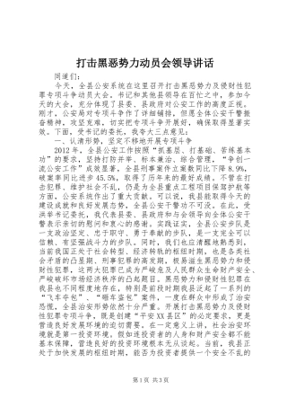 打击黑恶势力动员会领导讲话