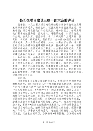 县长在项目建设三级干部大会的讲话