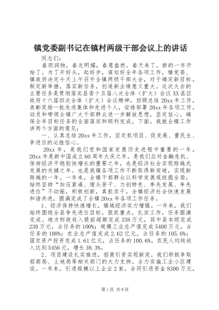 镇党委副书记在镇村两级干部会议上的讲话