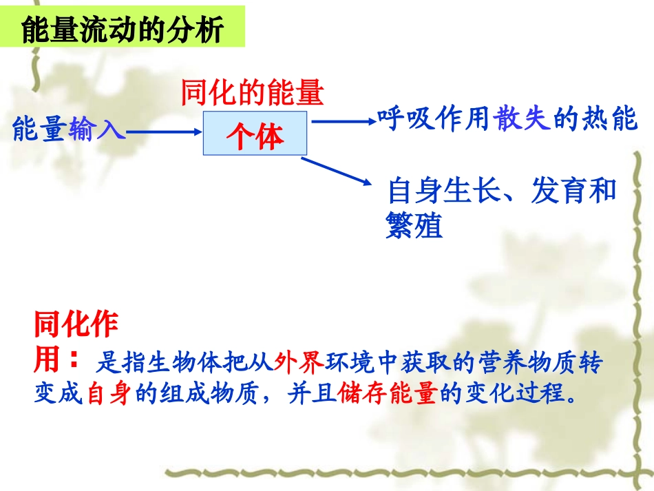 第三节能量流动和物质循环-(2)_第3页