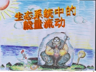 第三节能量流动和物质循环-(2)