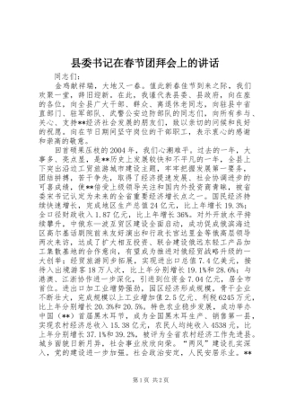 县委书记在春节团拜会上的讲话