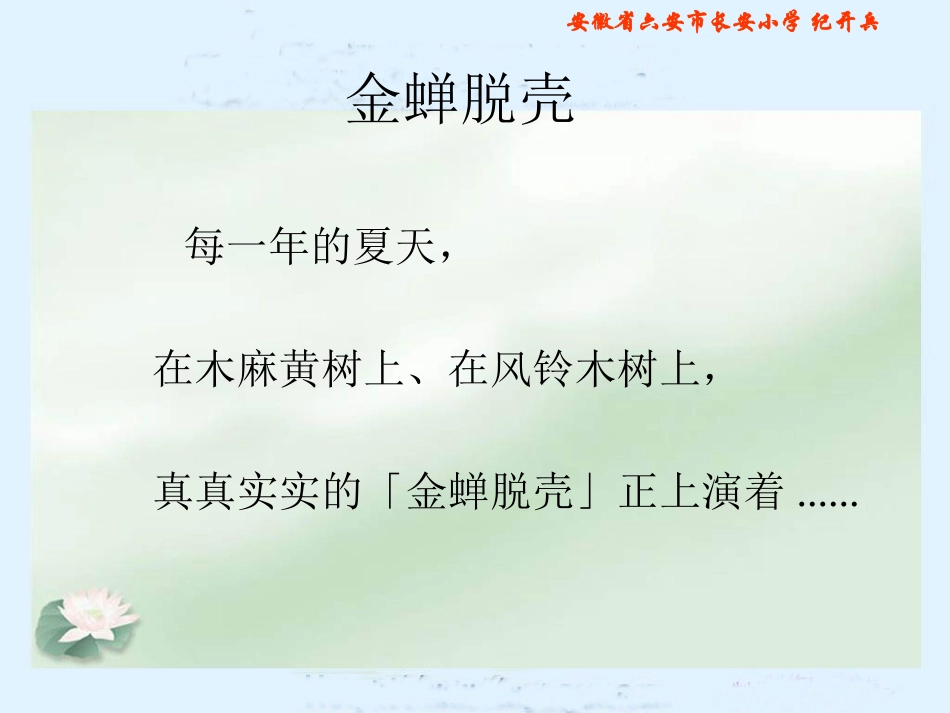 《金蝉脱壳》课件_第2页