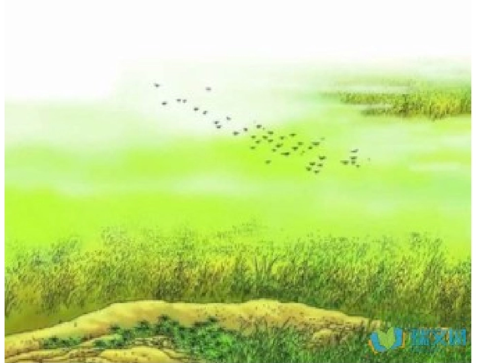 《赋得古原草送别》_第2页