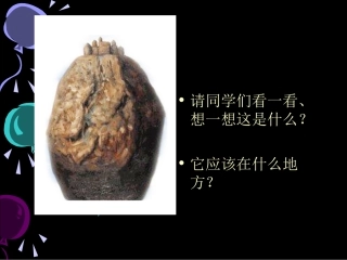 《奇思妙想》课件2