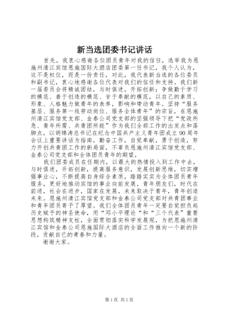 新当选团委书记讲话