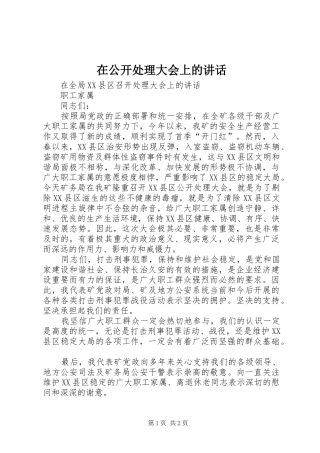 在公开处理大会上的讲话