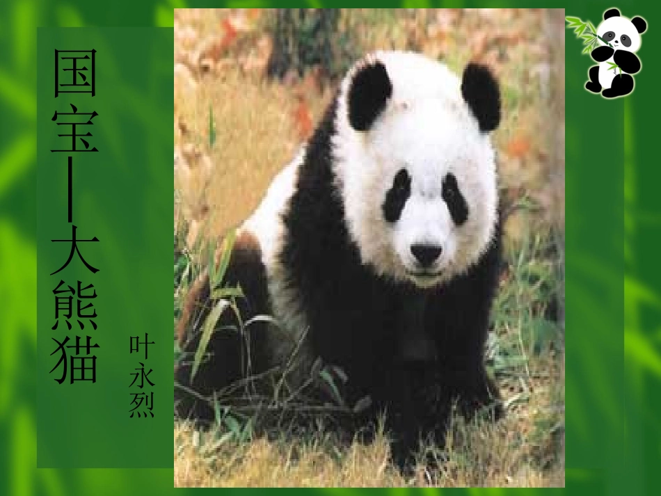 国宝-大熊猫_第2页