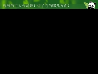 国宝-大熊猫