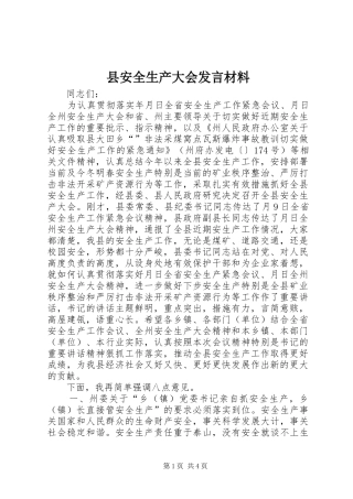 县安全生产大会发言材料