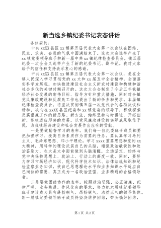 新当选乡镇纪委书记表态讲话