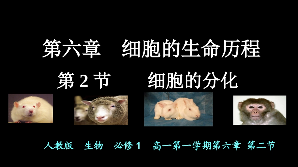 与生物学有关的职业-医院里的检验师-(2)_第1页