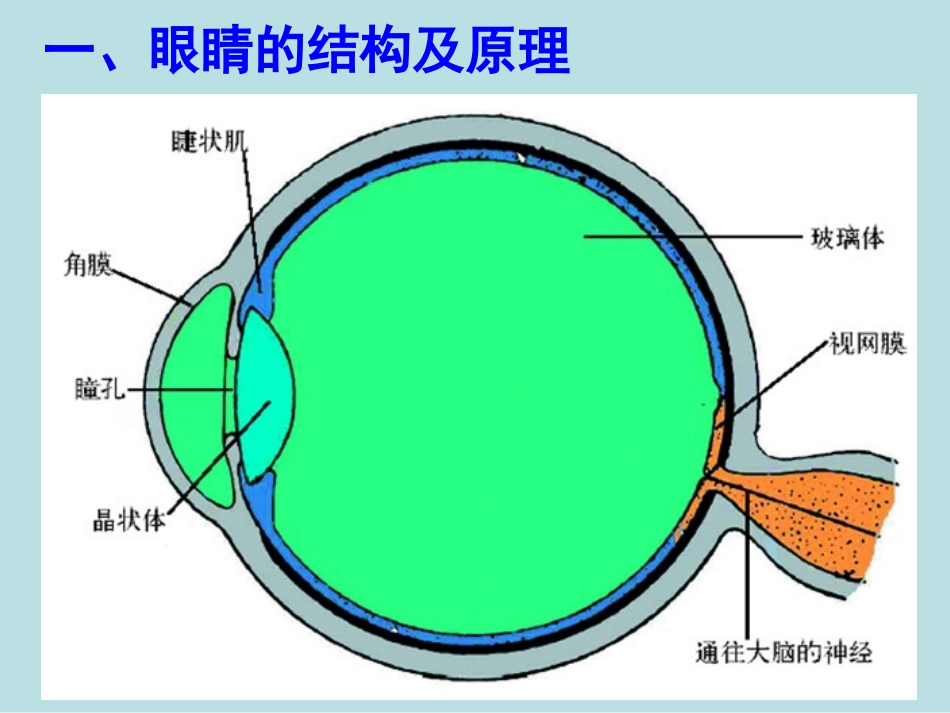 6.神奇的眼睛-(2)_第3页