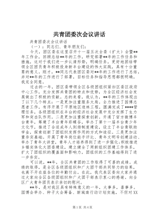 共青团委次会议讲话