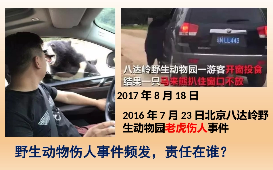 遵守规则-(3)_第3页