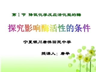 探究影响酶活性的因素(实验)