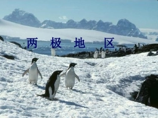 两极地区复习