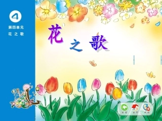美丽的太阳花ppt