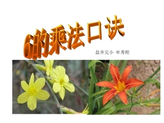 小学数学人教2011课标版二年级6的乘法口诀