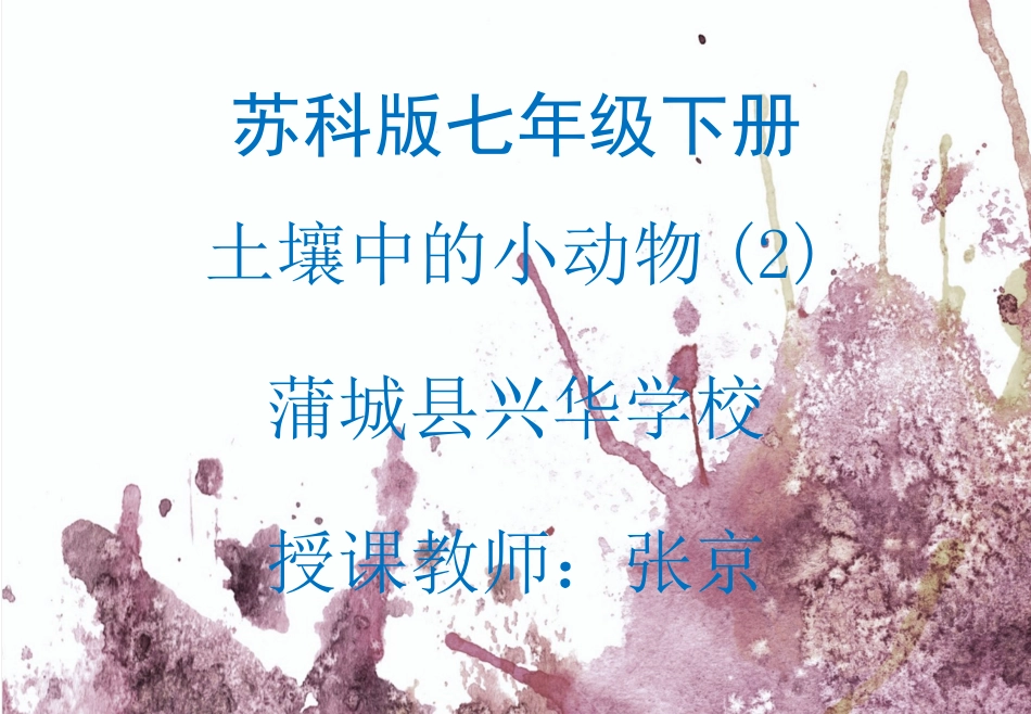 第1节土壤里的小动物-(4)_第1页