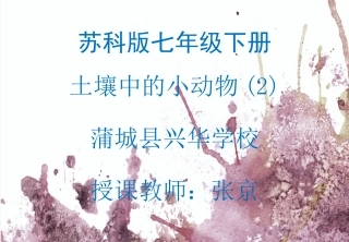 第1节土壤里的小动物-(4)