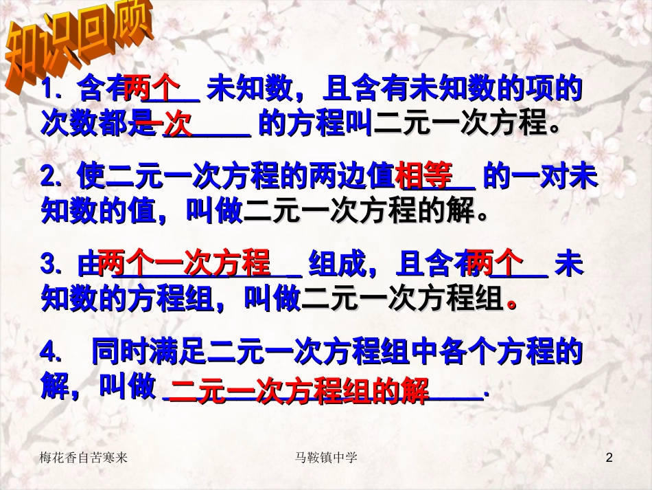 第2章二元一次方程组(通用)_第2页