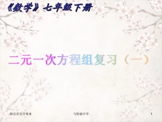 第2章二元一次方程组(通用)