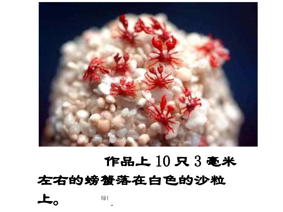 23人教版八年级语文上册《核舟记》PPT课件-2_第3页